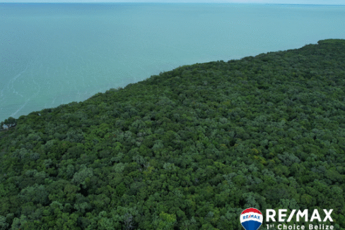 3353_DJI_0541_300.03.08.25