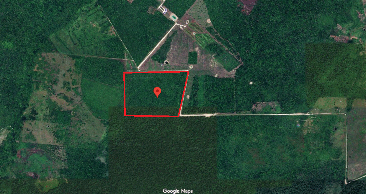 Cornelius 50 Acres 2