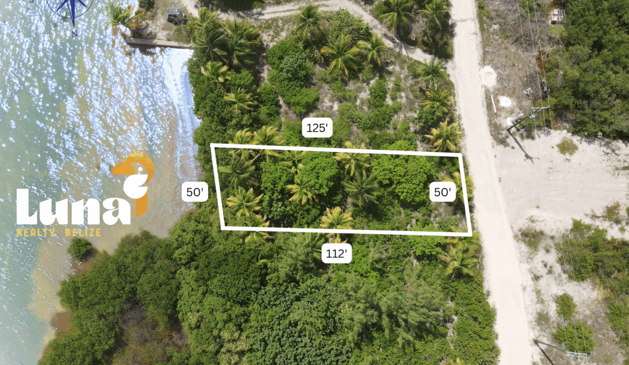 Lot-1385-from-above-scaled (1)