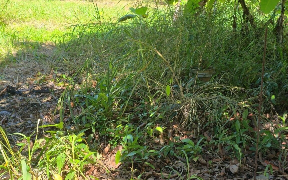 PR-L131-13-Acres-01-rotated