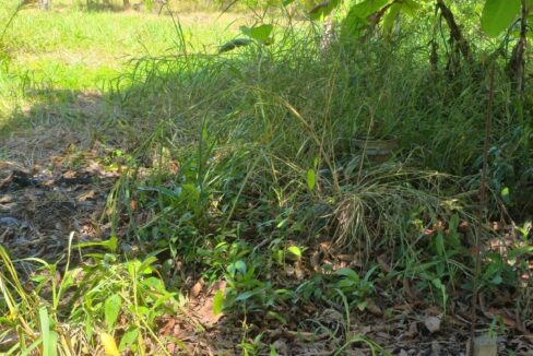 PR-L131-13-Acres-01-rotated