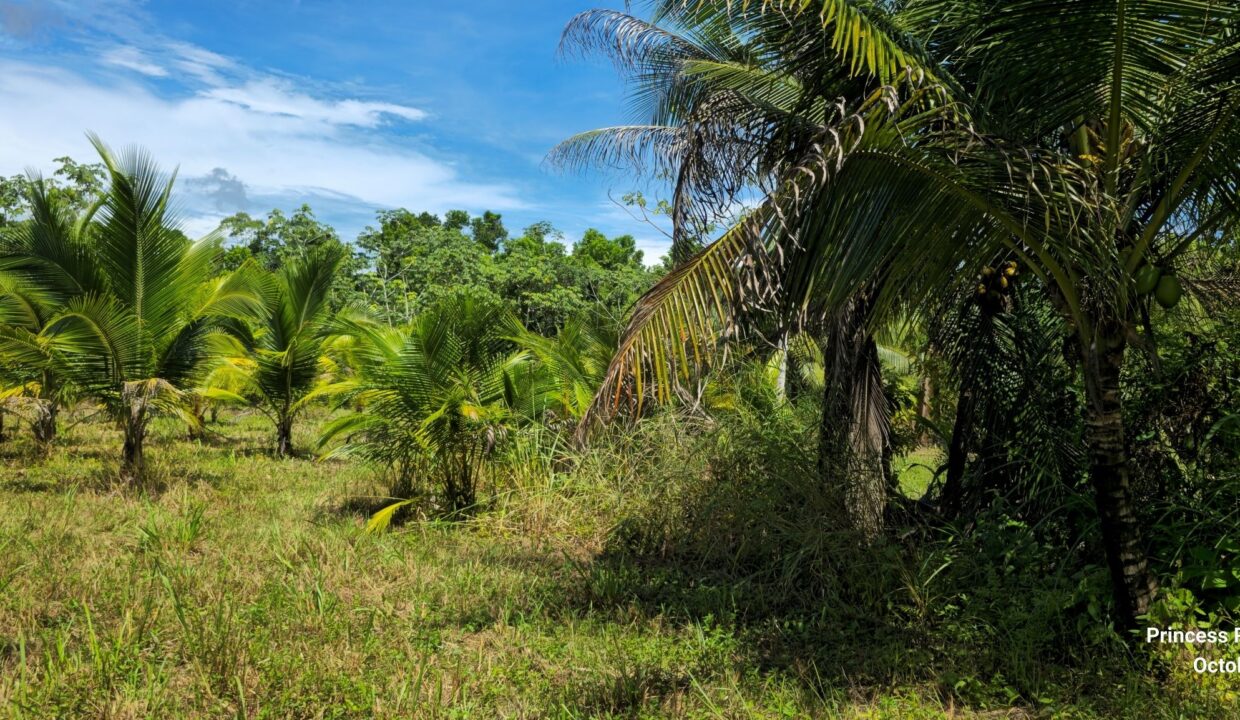 PR-L131-13-Acres-03
