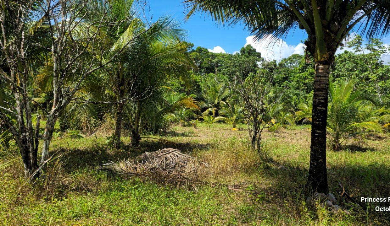 PR-L131-13-Acres-04