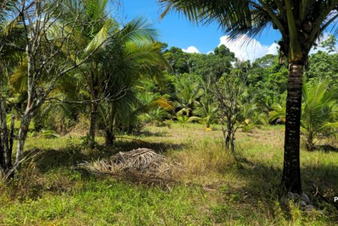 PR-L131-13-Acres-04
