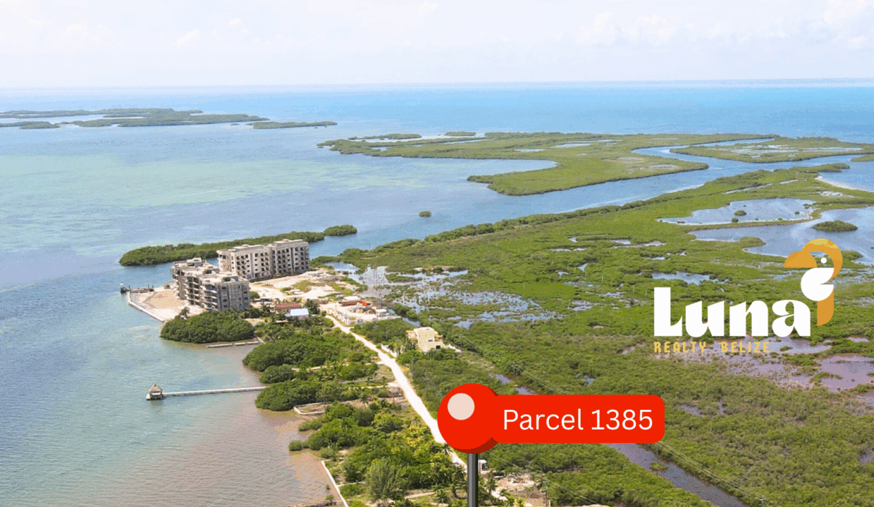 Parcel-1385-from-north-high-scaled (1)