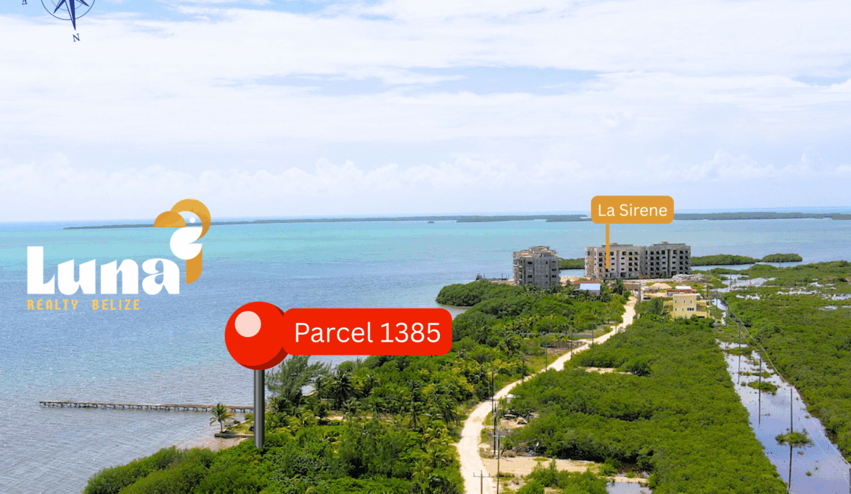 Parcel-1385-from-north-scaled (1)