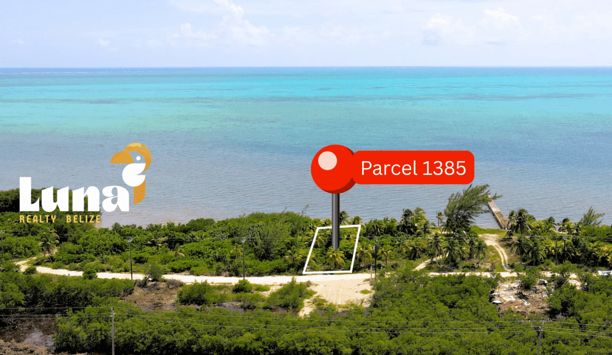 Parcel-1385-from-west-scaled (1)