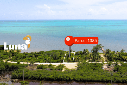 Parcel-1385-from-west-scaled (1)