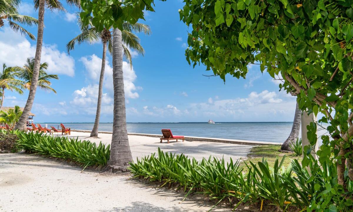 Tres-Cocos-505-74