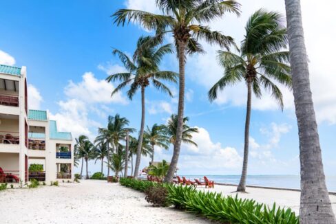 Tres-Cocos-505-75