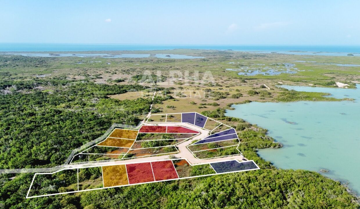 belize-lagoonfront-lot-sarteneja_jpg (1) (1)