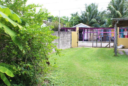 n11