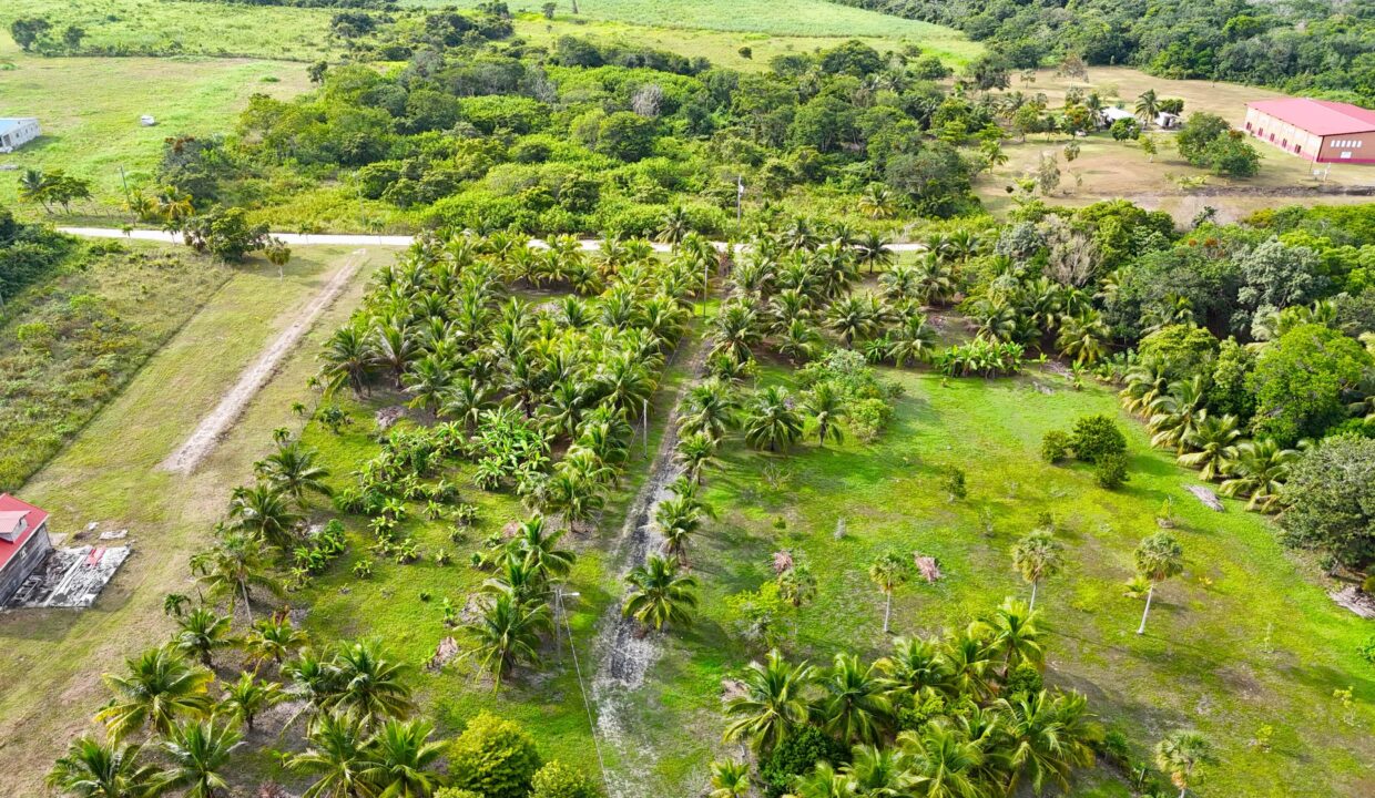 progresso-belize-waterfront-estate-investment-opportunity-min (1) (1)