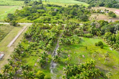 progresso-belize-waterfront-estate-investment-opportunity-min (1) (1)