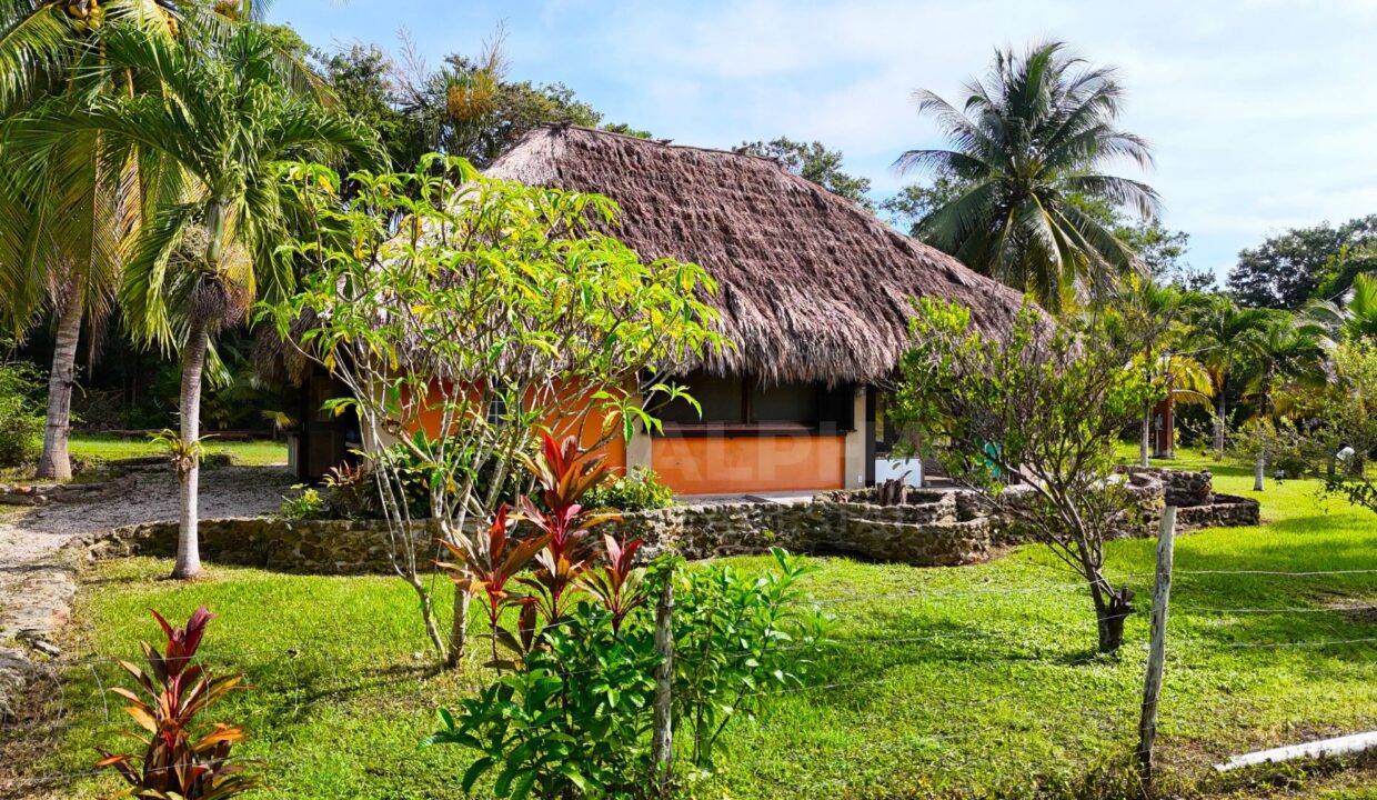 progresso-heights-belize-tropical-home-for-canadian-buyers