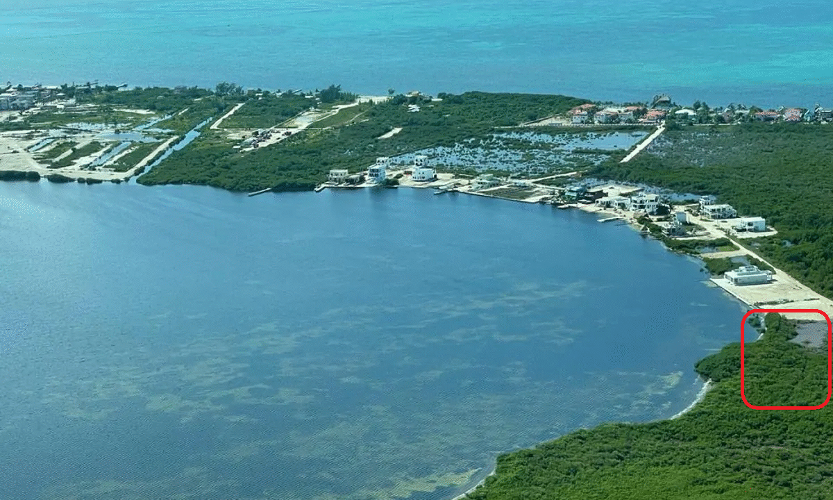 tarpon bay