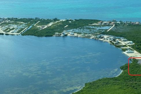 tarpon bay