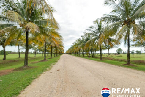 3360_20251125reserve_home133
