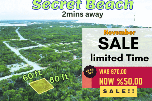 Explore-The-Beach-Mount-Waterfall-2-1