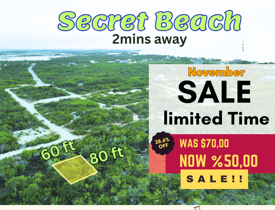 Explore-The-Beach-Mount-Waterfall-2-1