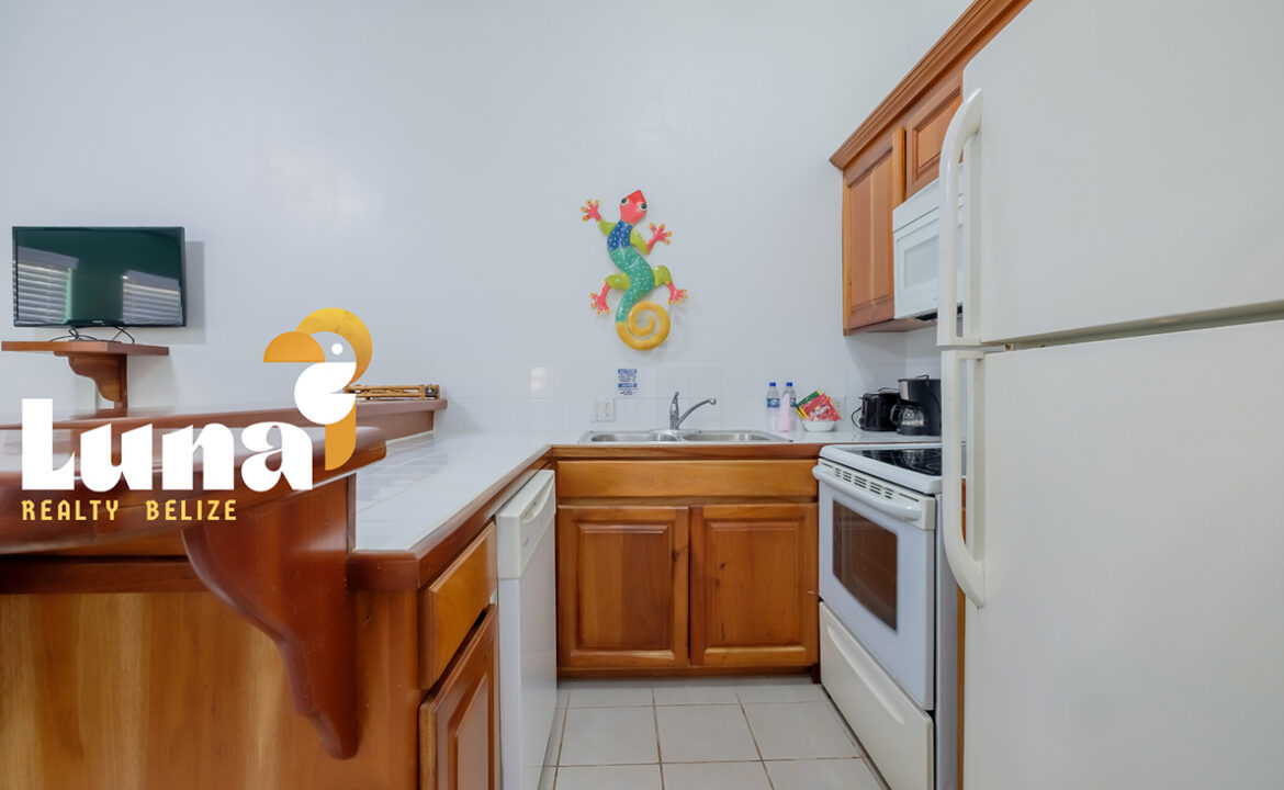 Luna-C108-kitchen-2-1170x785
