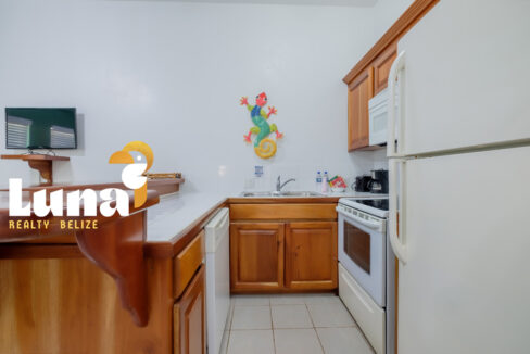 Luna-C108-kitchen-2-1170x785