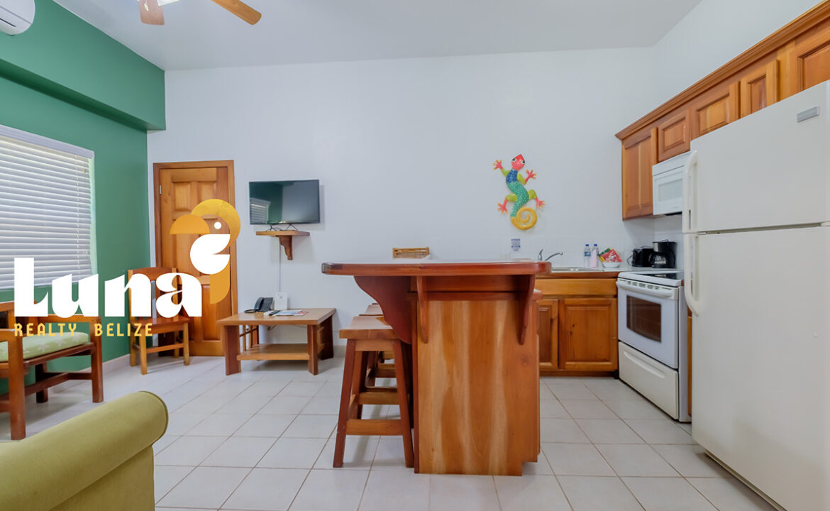 Luna-c108-kitchen-and-living-room-1170x785