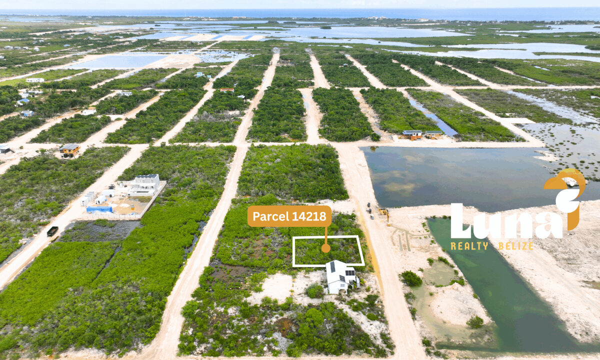 Parcel-14218-from-west-scaled