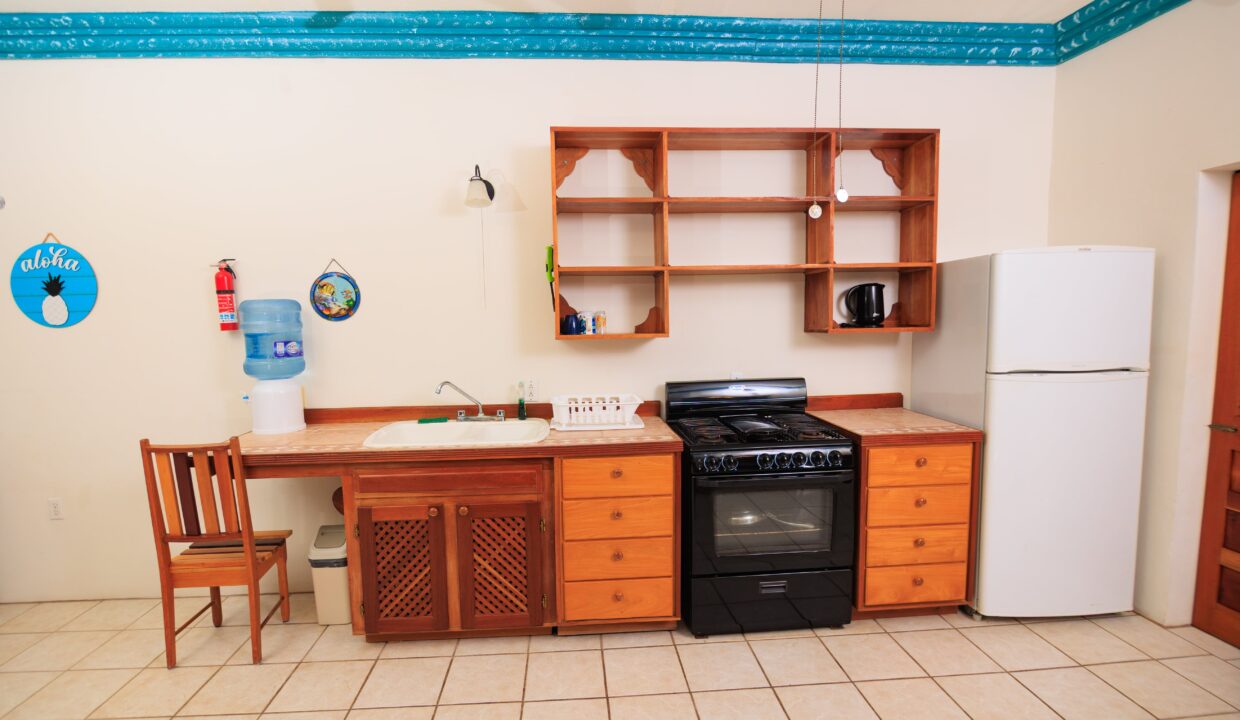 belize-production-lab-conversion (1)
