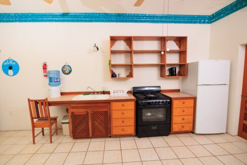 belize-production-lab-conversion (1)