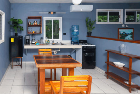 river-bend-studio-kitchen-1170x785