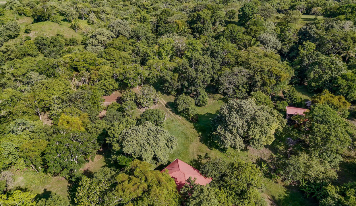 2120Acre20Mount20Hope20Retreat20Unitedville20Cayo20Belize2015