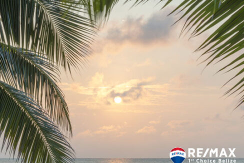 3371_caribbeansunrisepalms3DZ94PJ