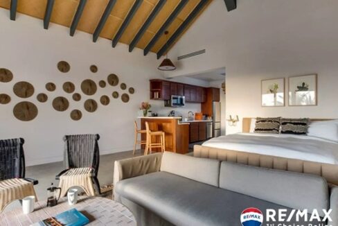 3381_LoftSleepingKitchenette