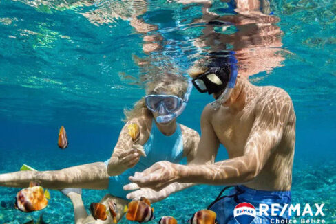 3381_SnorkelTour_result