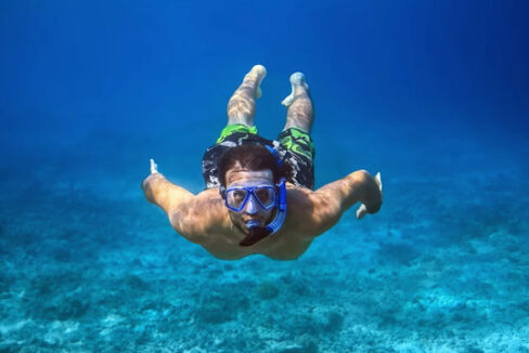3381_snorkellingagain_result_result