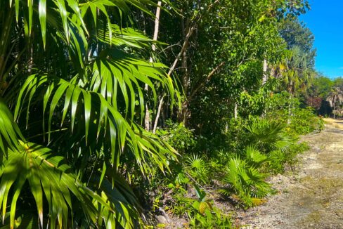 Belize Off-Grid Property _ Serenity Village Lot 52