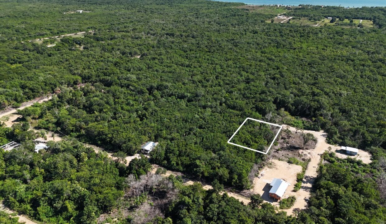 Caribbean Investment Land – Serenity Corozal Parcel 52