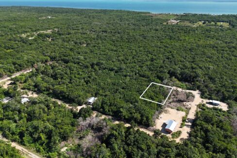 Caribbean Investment Land – Serenity Corozal Parcel 52