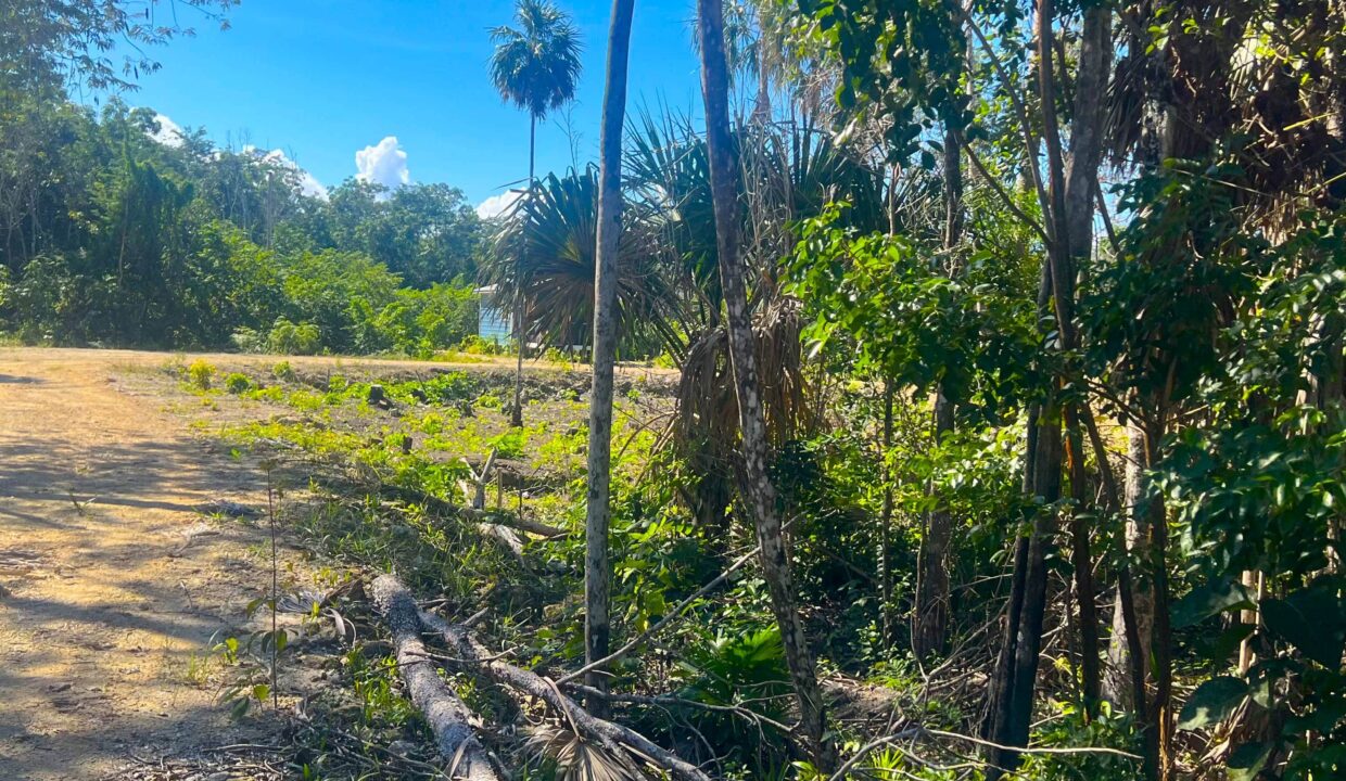 Corozal Belize Investment Lot – Serenity Parcel 52
