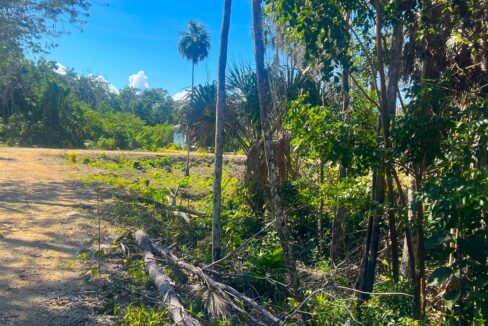 Corozal Belize Investment Lot – Serenity Parcel 52