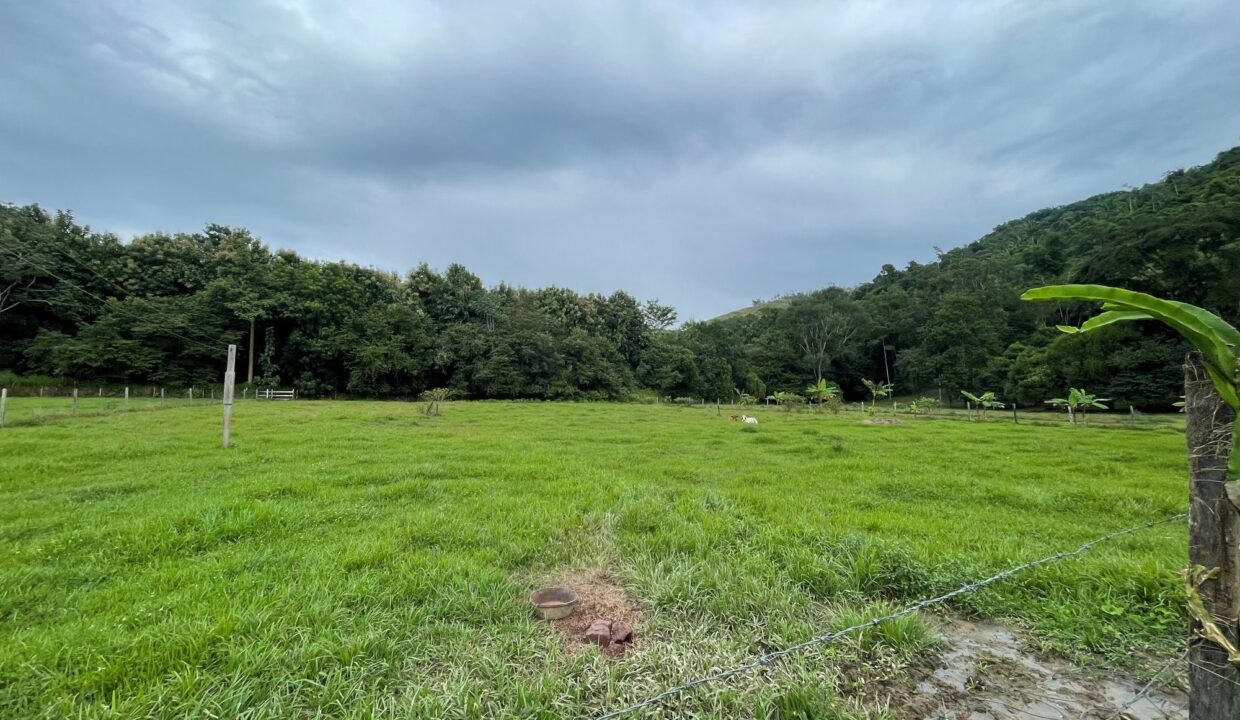 PR-F107-50-Pasture