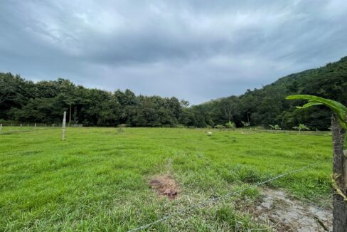 PR-F107-50-Pasture