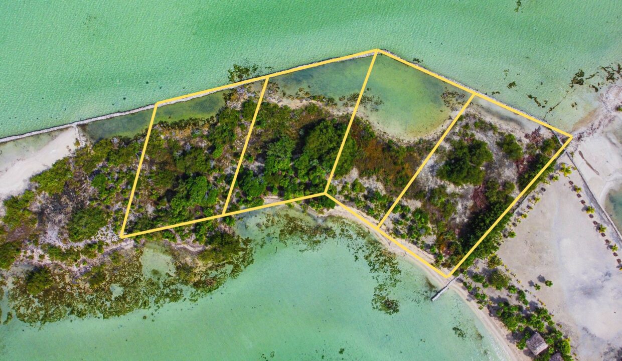 SUBDIVISION-1