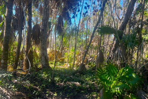 Serenity Village Belize Lot 52 – Near Mexico & Sea