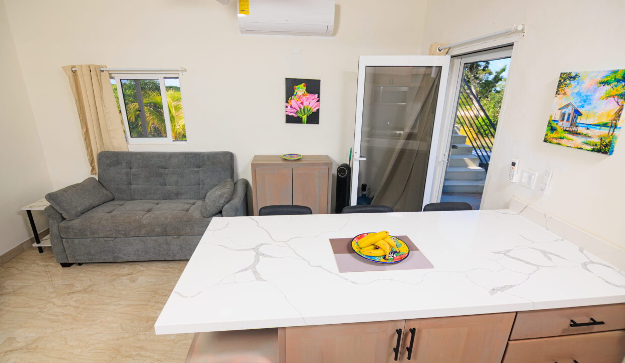 coastal-estate-design-sarteneja-belize