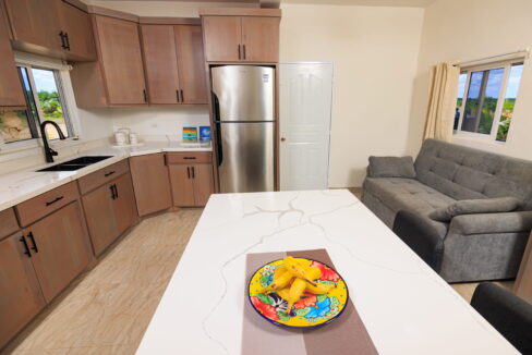 upscale-seafront-property-corozal-belize