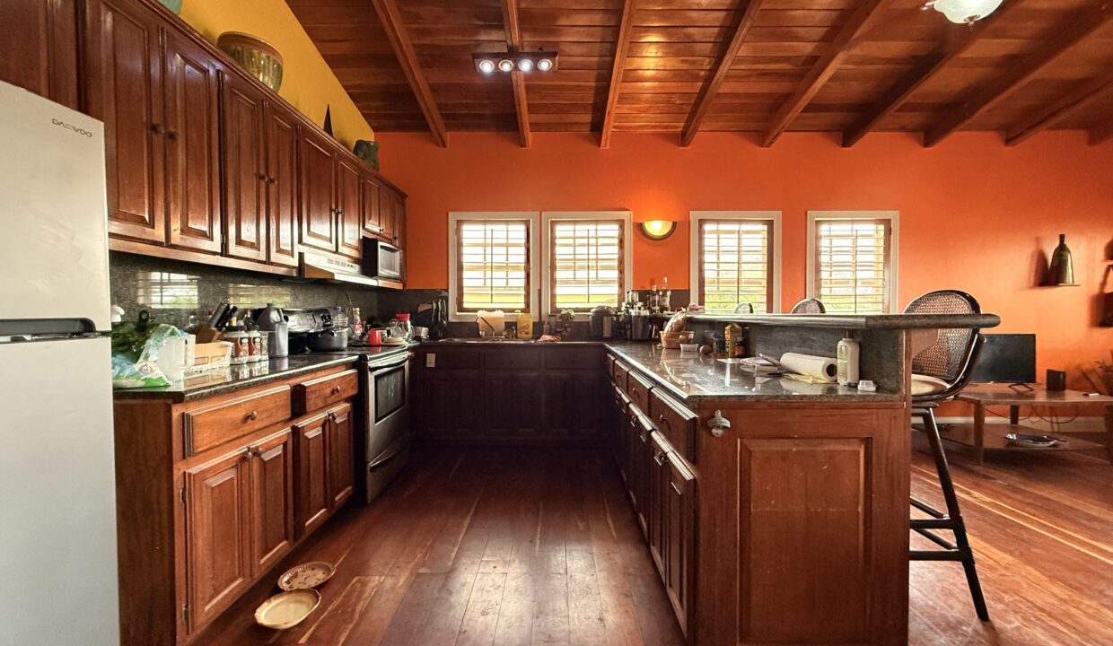 waterfront-eco-home-sanpedro-belize-min (1)