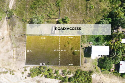 western-highway-belize-roadside-commercial-property (1)