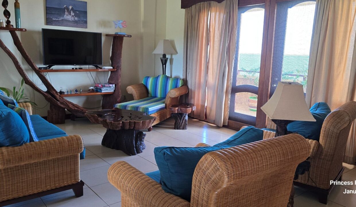 07-PR-C105-H3-Living-Room-02